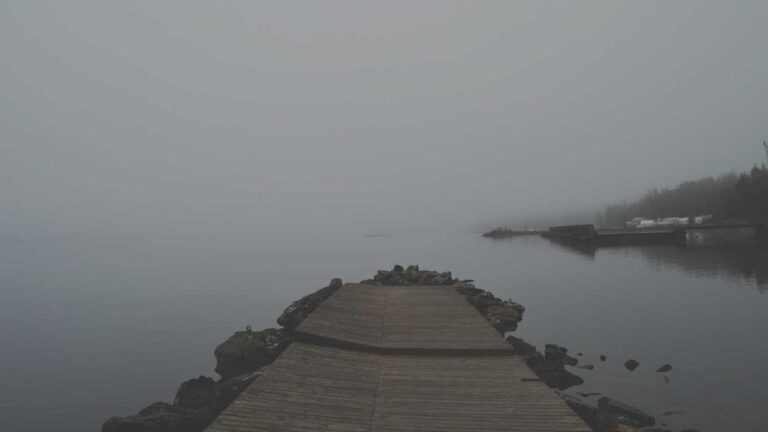 What Devices Support 11Xplay Login Download Installation?